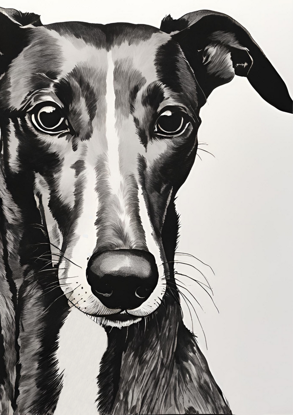 The Greyhound